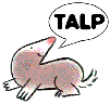 logo_talp_sol